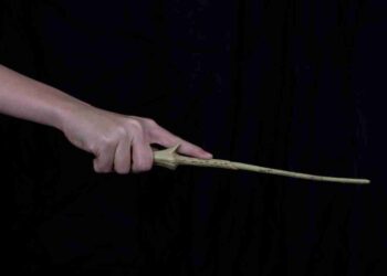 Bacchetta di Voldemort.