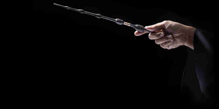 Bacchetta di Silente.