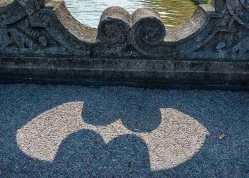 I film di Batman in ordine cronologico.