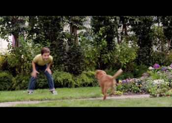 La storia di un cane devoto che trova il senso della propria esistenza attraverso le vite degli umani a cui insegna a ridere e ad amare.