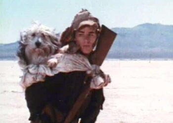 Un ragazzo e il suo cane: Libro e film