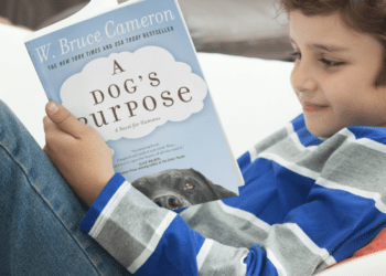 Esplorare il mondo cinematografico di W. Bruce Cameron