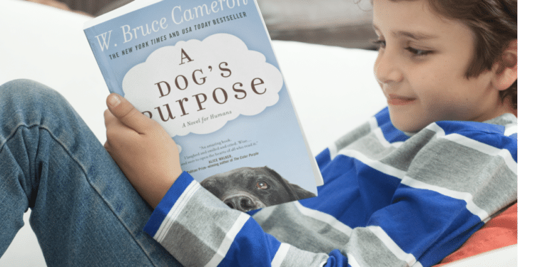 Esplorare il mondo cinematografico di W. Bruce Cameron